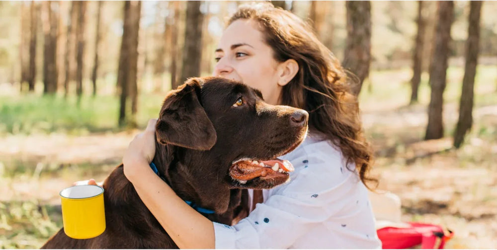 Why Grain-Free Raw Dog Food Improves Digestion Naturally