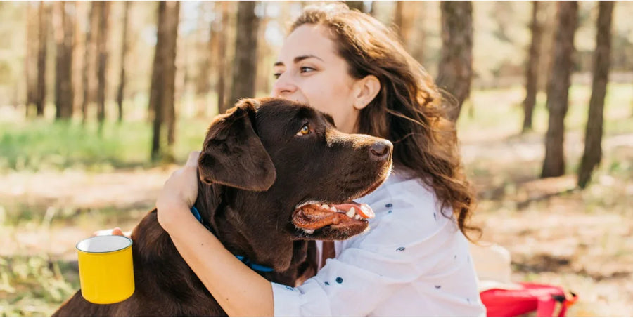 Why Grain-Free Raw Dog Food Improves Digestion Naturally