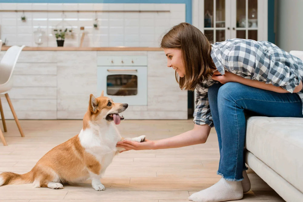 Girl sitting with her dog, holding its hand