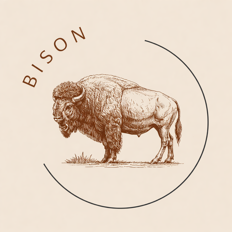 Raw Frozen Fresh - Bison Mince