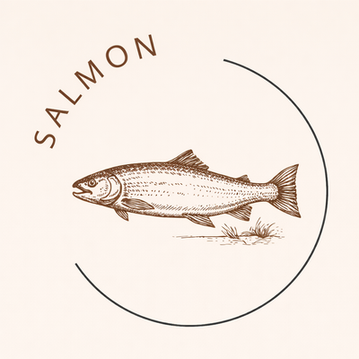 Raw Frozen Fresh - Salmon Mince